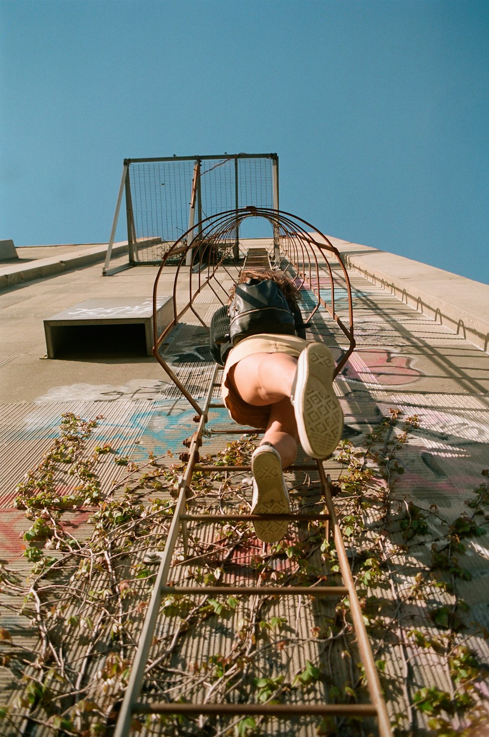 person climbing on ladder