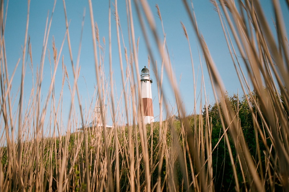 Faro bianco