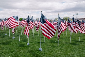 USA flags on green grass during day time