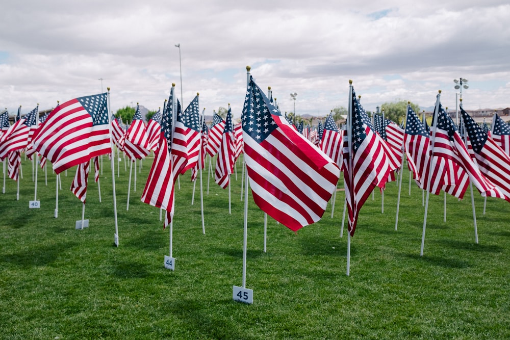 Bandeiras dos EUA na grama verde durante o dia