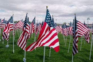 flags of USA with pole