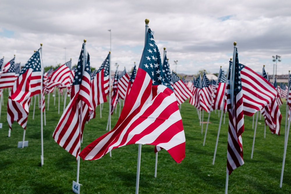 flags of USA with pole