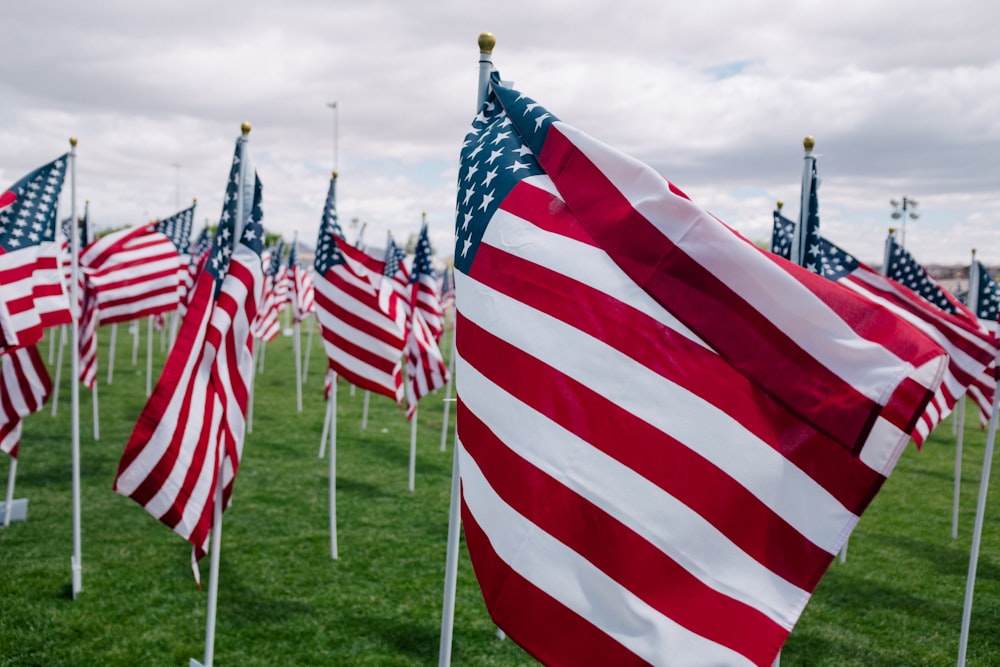 rangées de drapeaux américains sur un champ