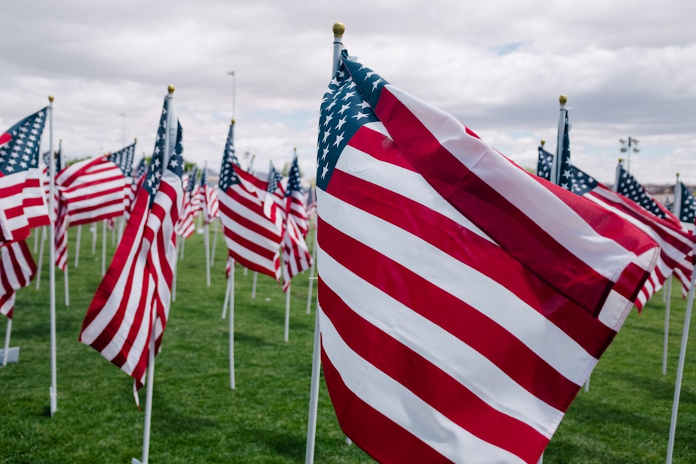 file di bandiere americane su un campo