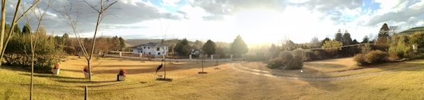 A panoramic view of a completed landscaping project featuring a mix of trees, shrubs, and seasonal flowers.