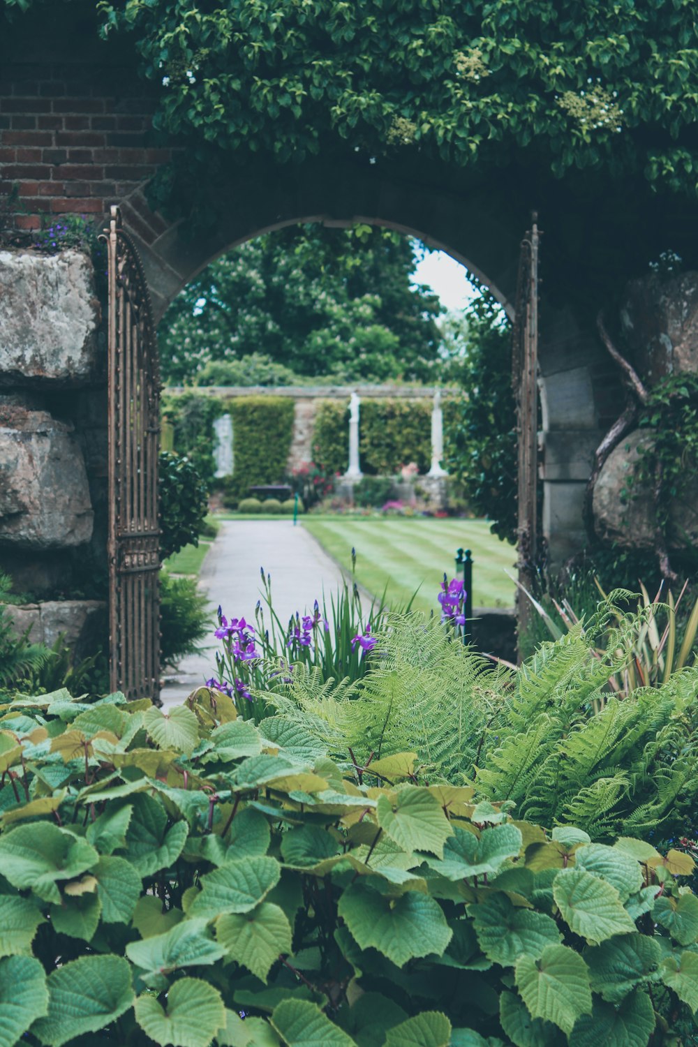 green-leafed plants during daytime