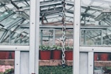 Inside a greenhouse structure, rows of red plant pots filled with small green plants are arranged on wooden shelves. The metal framework and glass panels of the greenhouse are visible, with some haze and condensation. A metal chain is hanging down from the ceiling in the foreground.