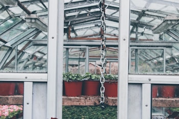 Inside a greenhouse structure, rows of red plant pots filled with small green plants are arranged on wooden shelves. The metal framework and glass panels of the greenhouse are visible, with some haze and condensation. A metal chain is hanging down from the ceiling in the foreground.