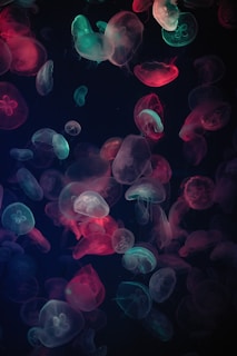 assorted-color jellyfish painting