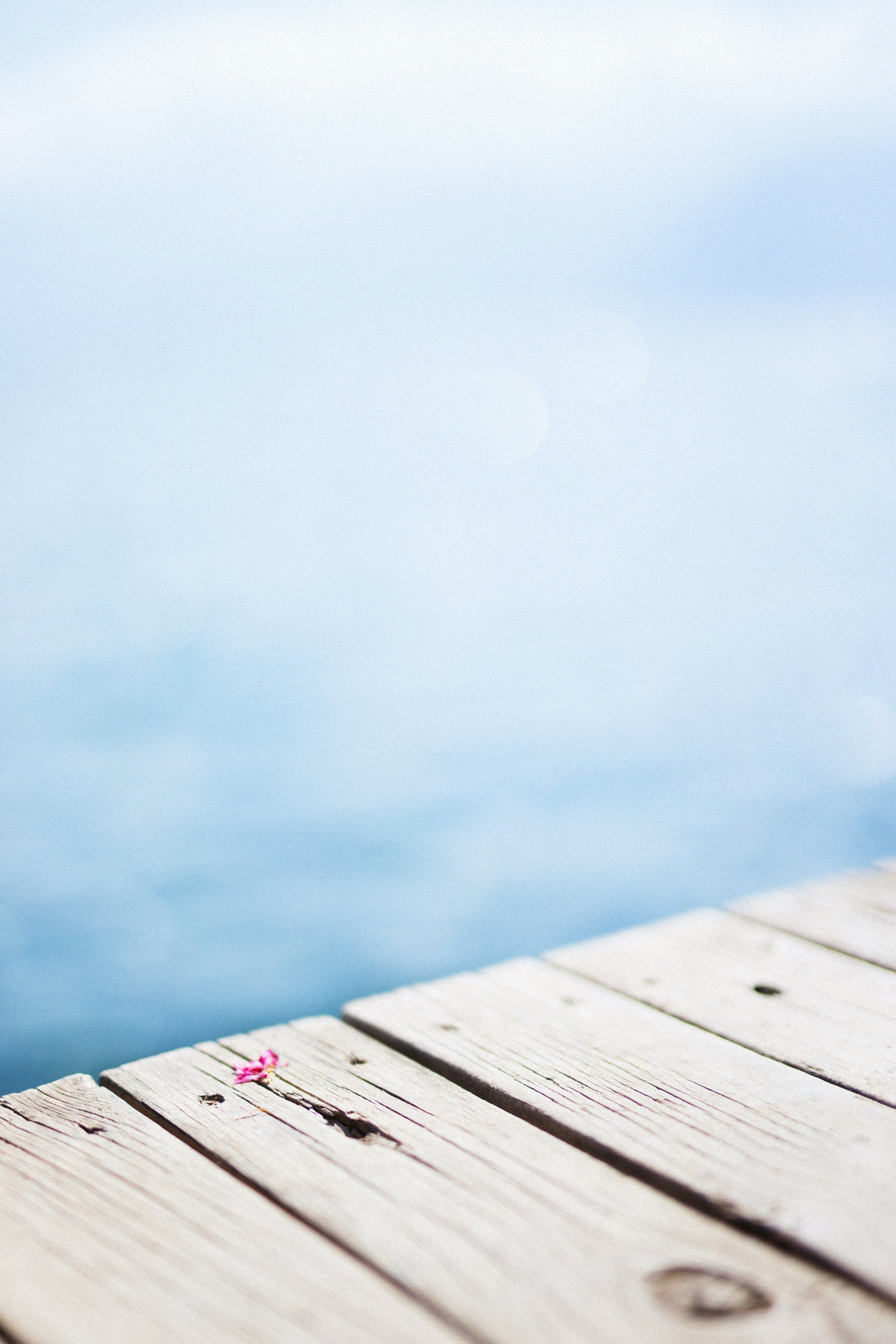 Photo by vinomamba24