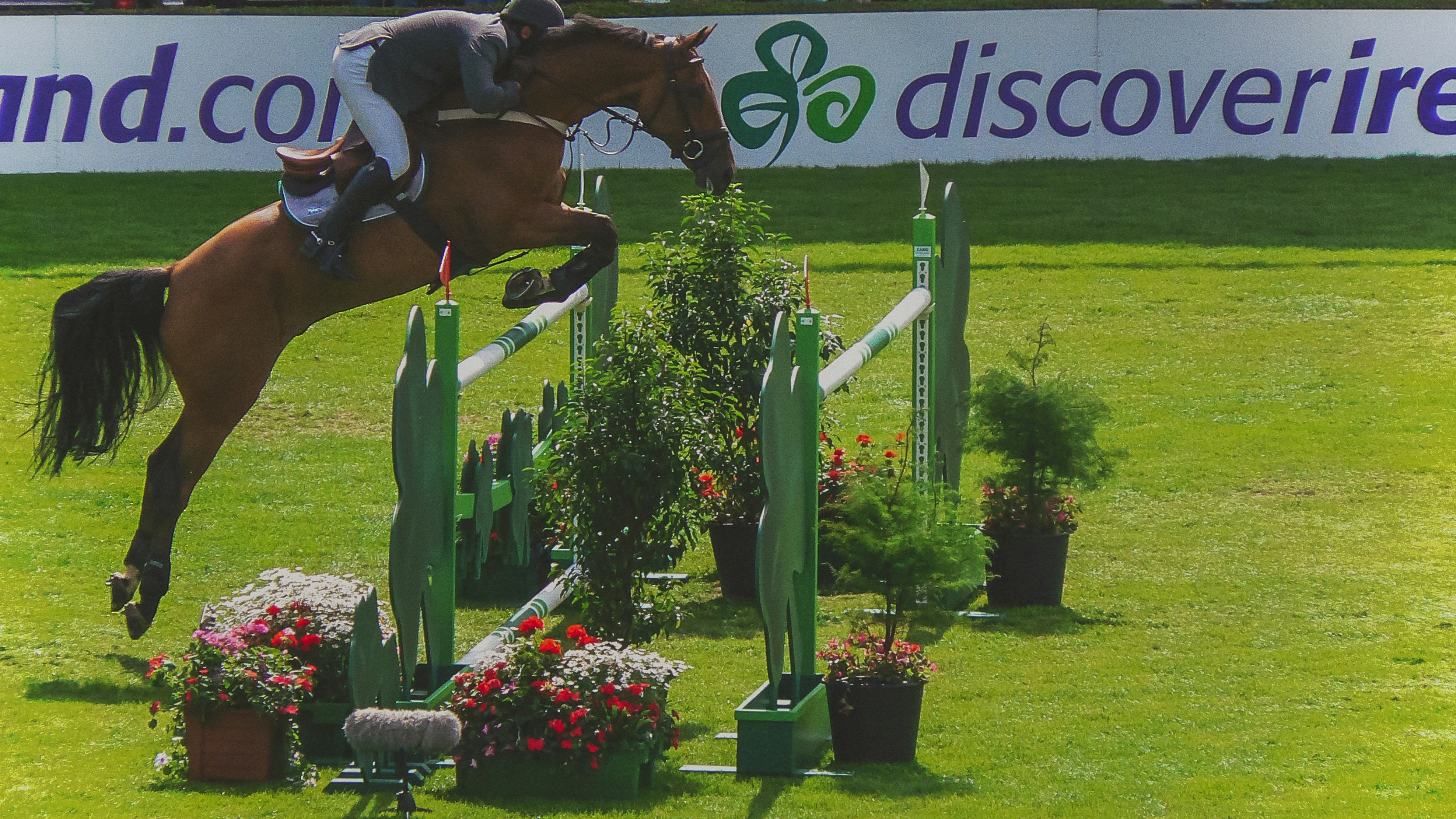 man riding on horse jumping over obstacle course