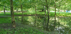 A peaceful outdoor setting in Portugal with sunlight filtering through trees, inviting calm and reflection.