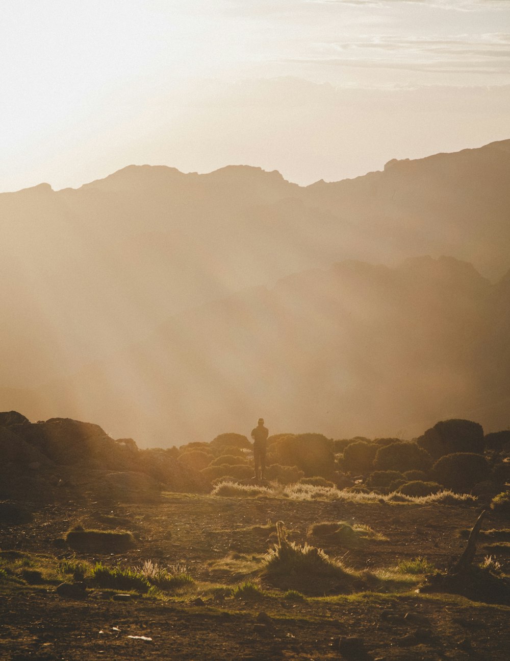 silhouette of man under sun rays