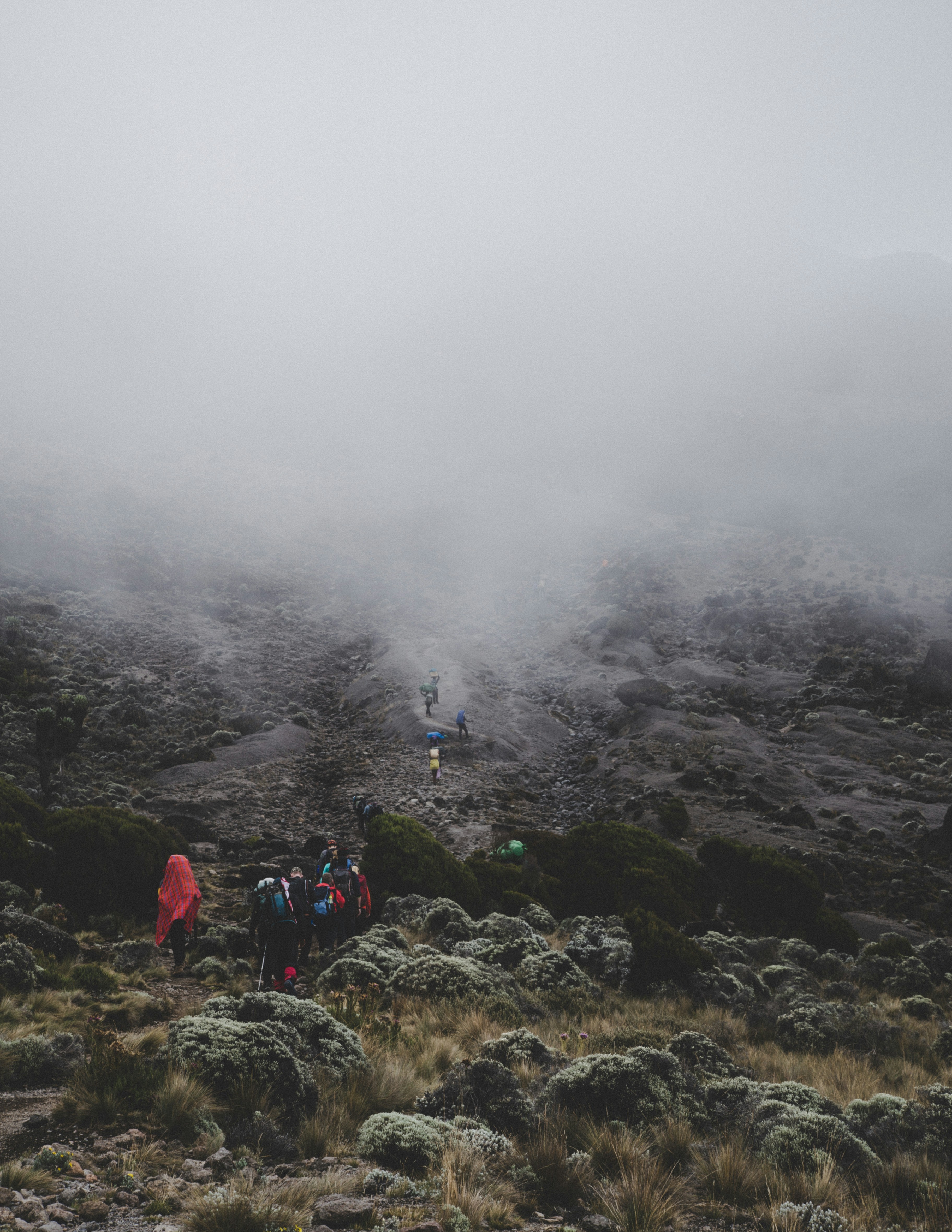 Photo by peterconlan