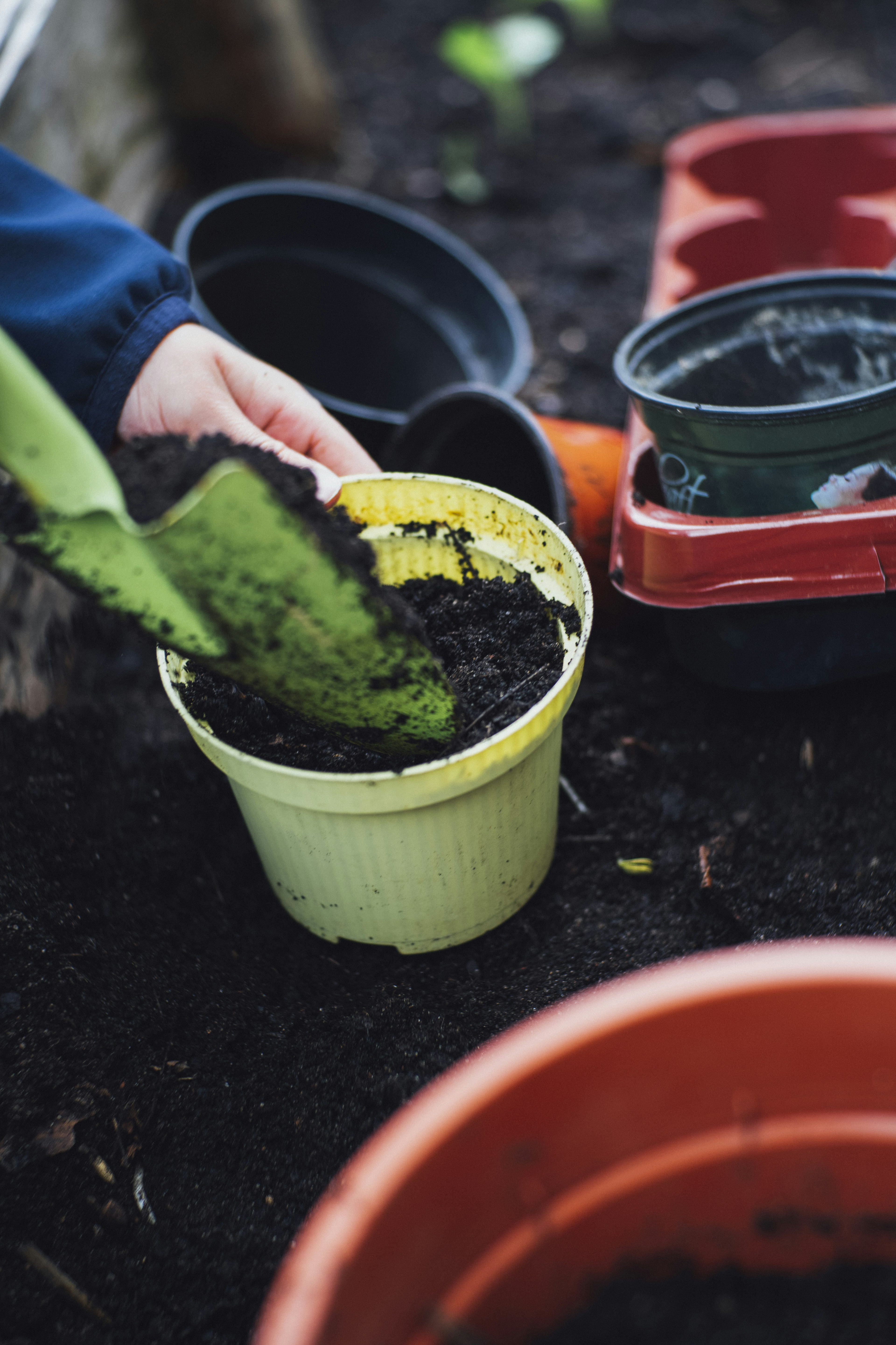 5 Simple Ideas For Utilizing Gardening To Get Ahead Your Opponents