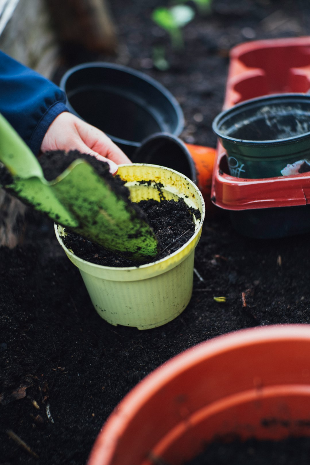Start Growing Your Profits: A Guide To Gardening For Profit