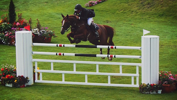 A horse and rider in a show jumping competition clear a high hurdle on a grassy field. The surrounding area is beautifully decorated with colorful floral arrangements.