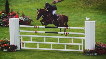 A horse and rider in a show jumping competition clear a high hurdle on a grassy field. The surrounding area is beautifully decorated with colorful floral arrangements.