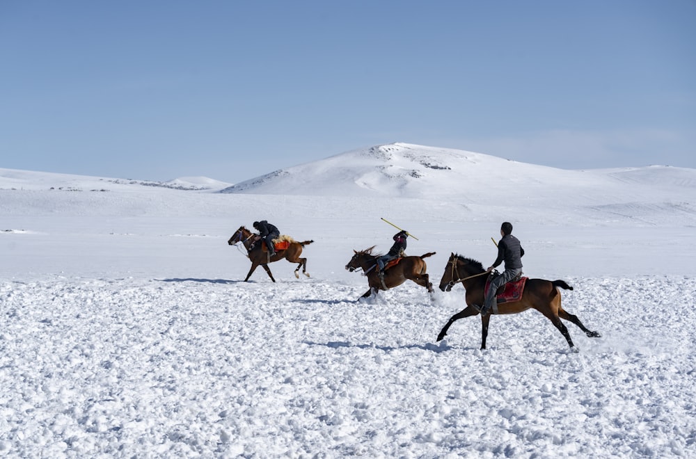 unknown persons riding on horses