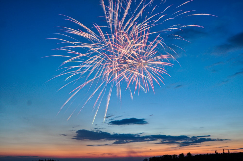 fireworks in clear dusk sky