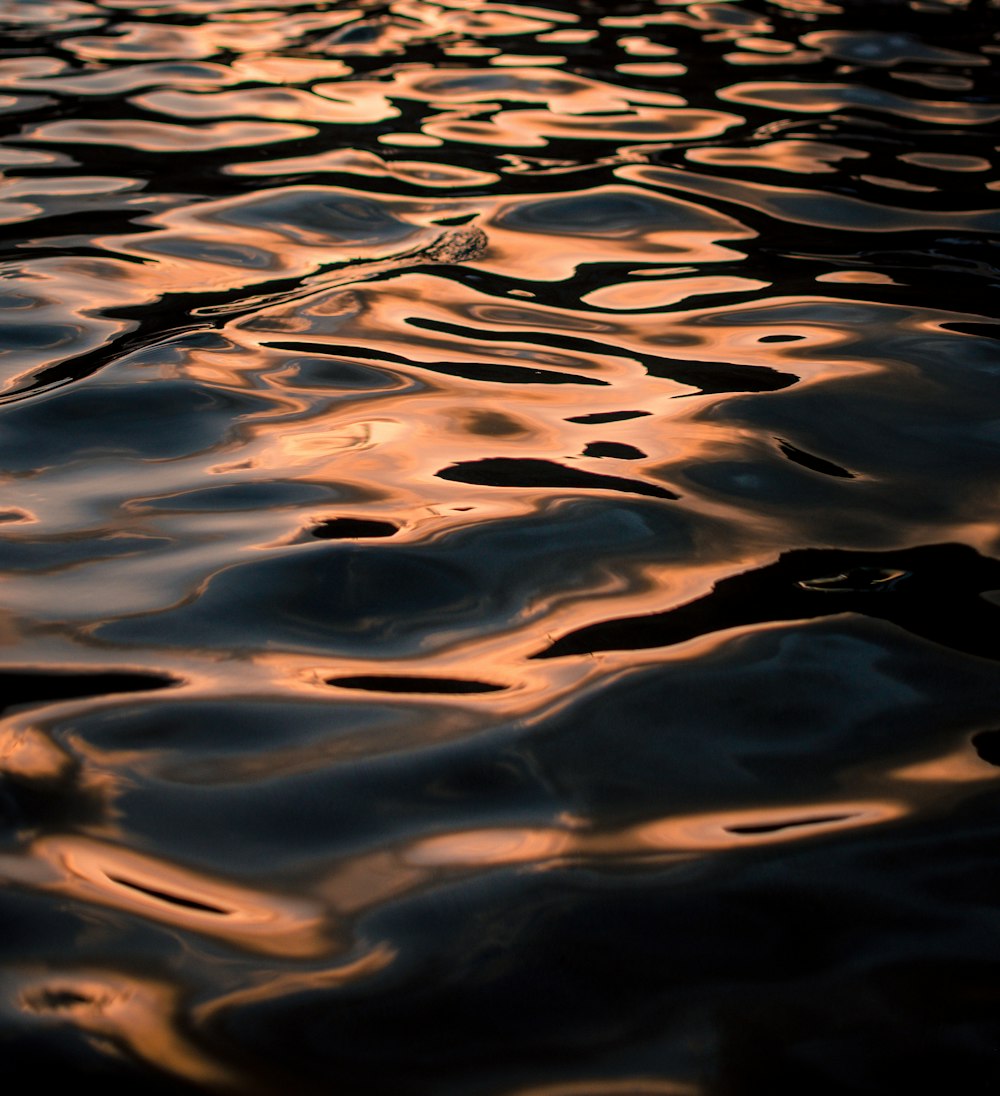 Fotografía de lapso de tiempo de agua ondulante