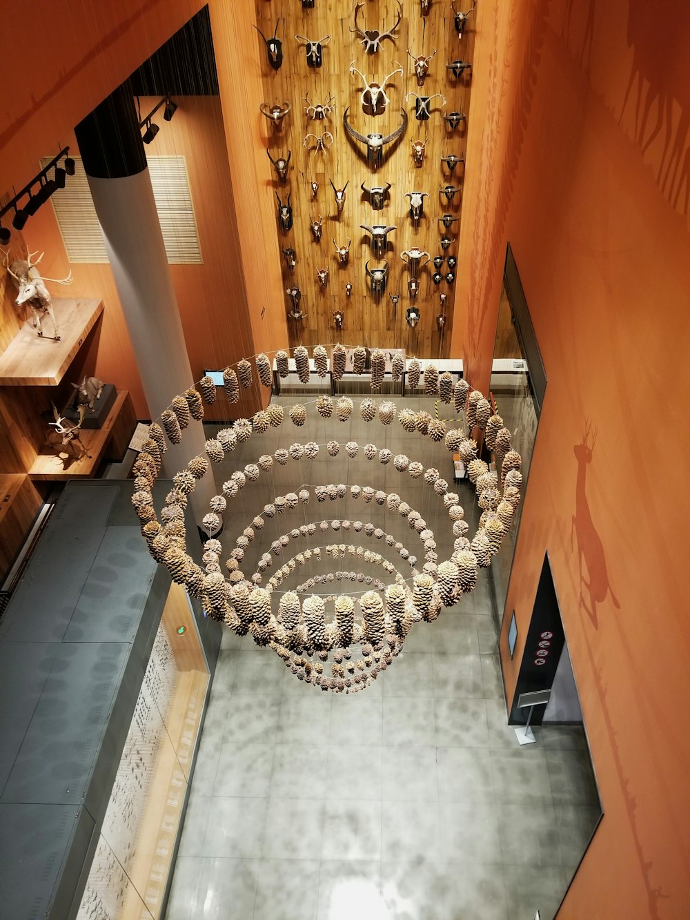 brown seashell chandelier