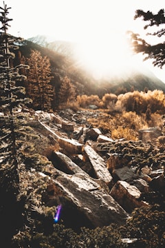 Golden hour light casting warm hues over a mountain lodge surrounded by vibrant autumn trees.
