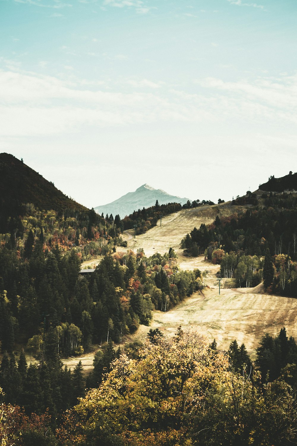 pathway at the tree covered mountain during daytime