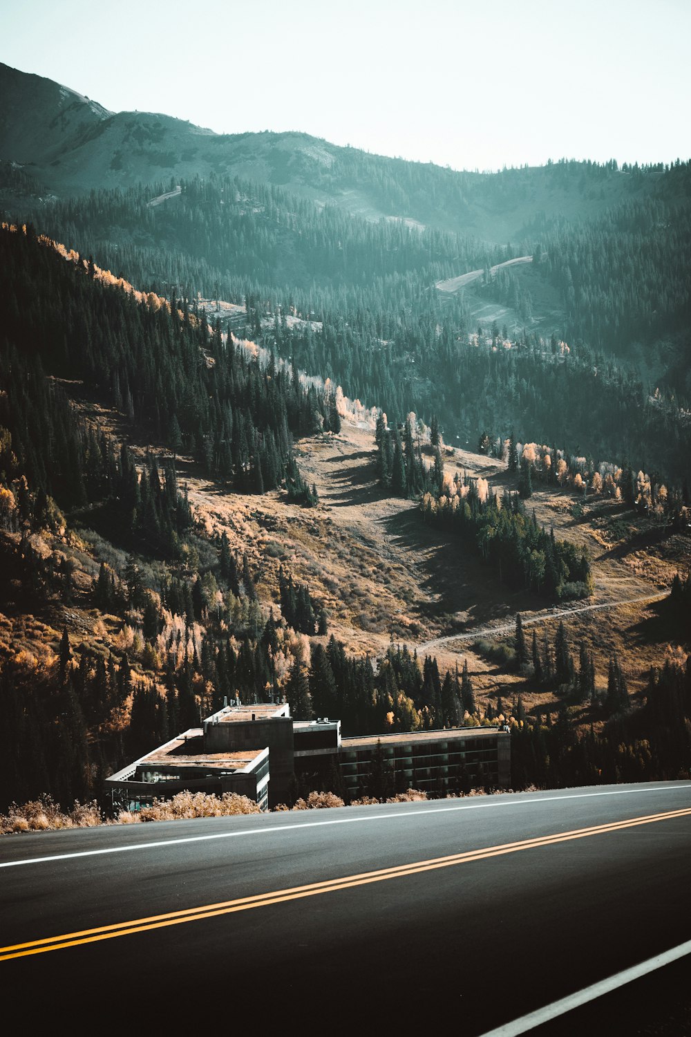 landscape photography of mountains with trees