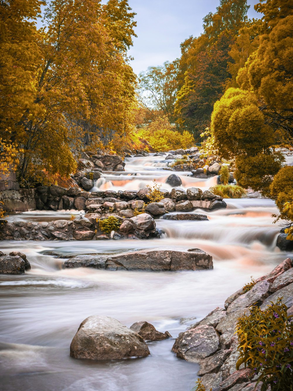 rocky river with trees in both banks