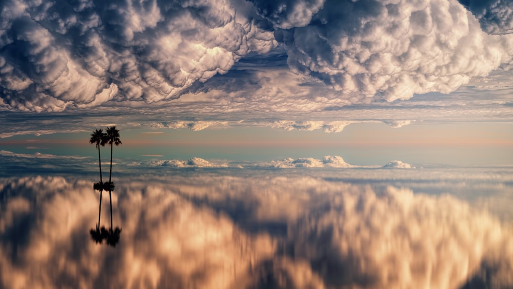 a palm tree sitting in the middle of a large body of water