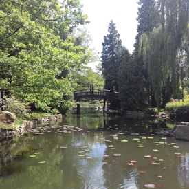 A serene pond bordered by lush greenery and overhanging trees, with lily pads floating on the water's surface. A wooden arch bridge spans across the pond, blending harmoniously with the natural surroundings. Sunlight filters through the leaves, creating dappled light on the water.