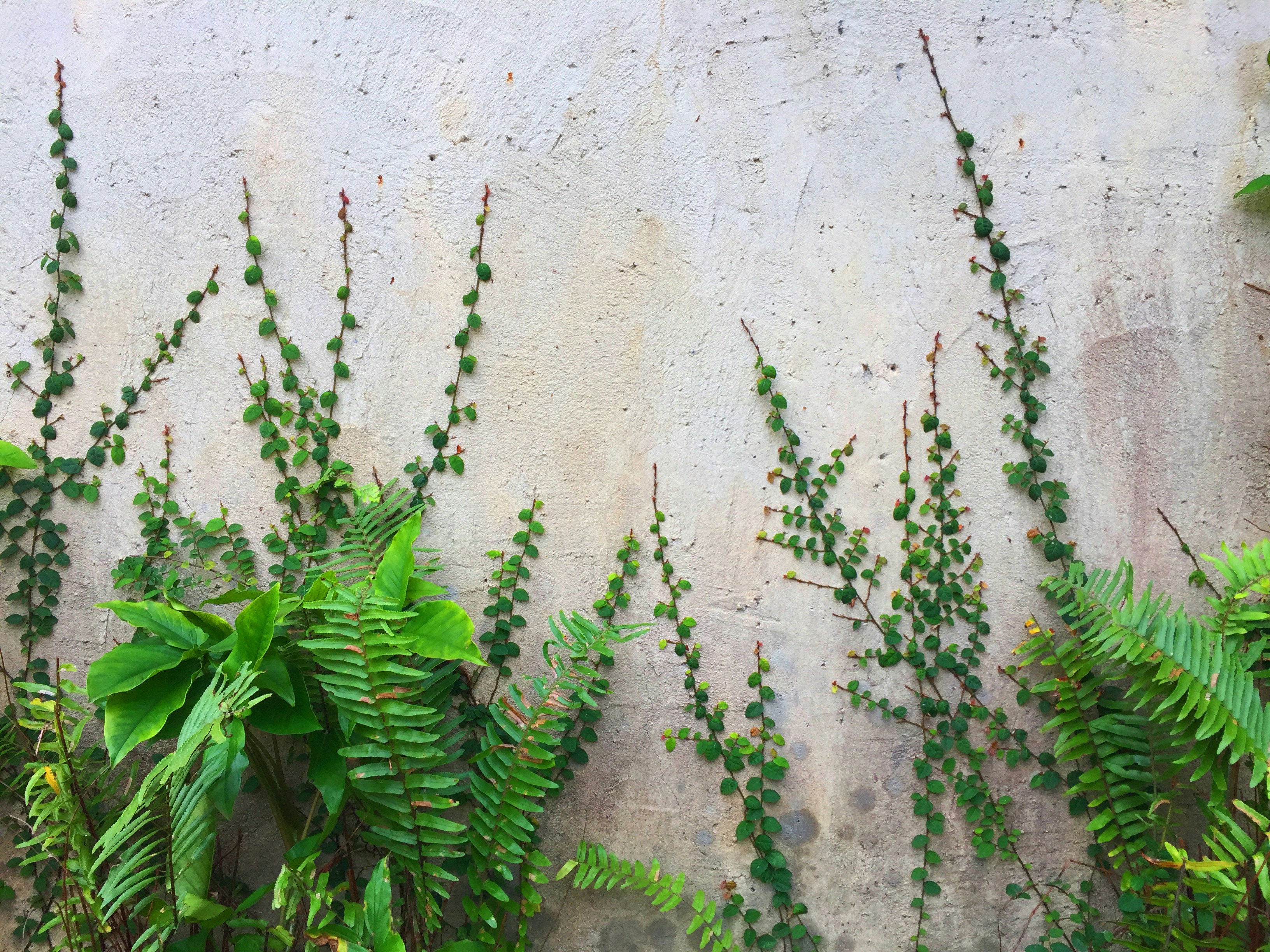 Photo by samuelhadchiti