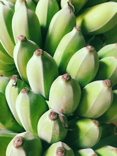 Close-up of hands carefully inspecting green banana bunches ready for harvest.