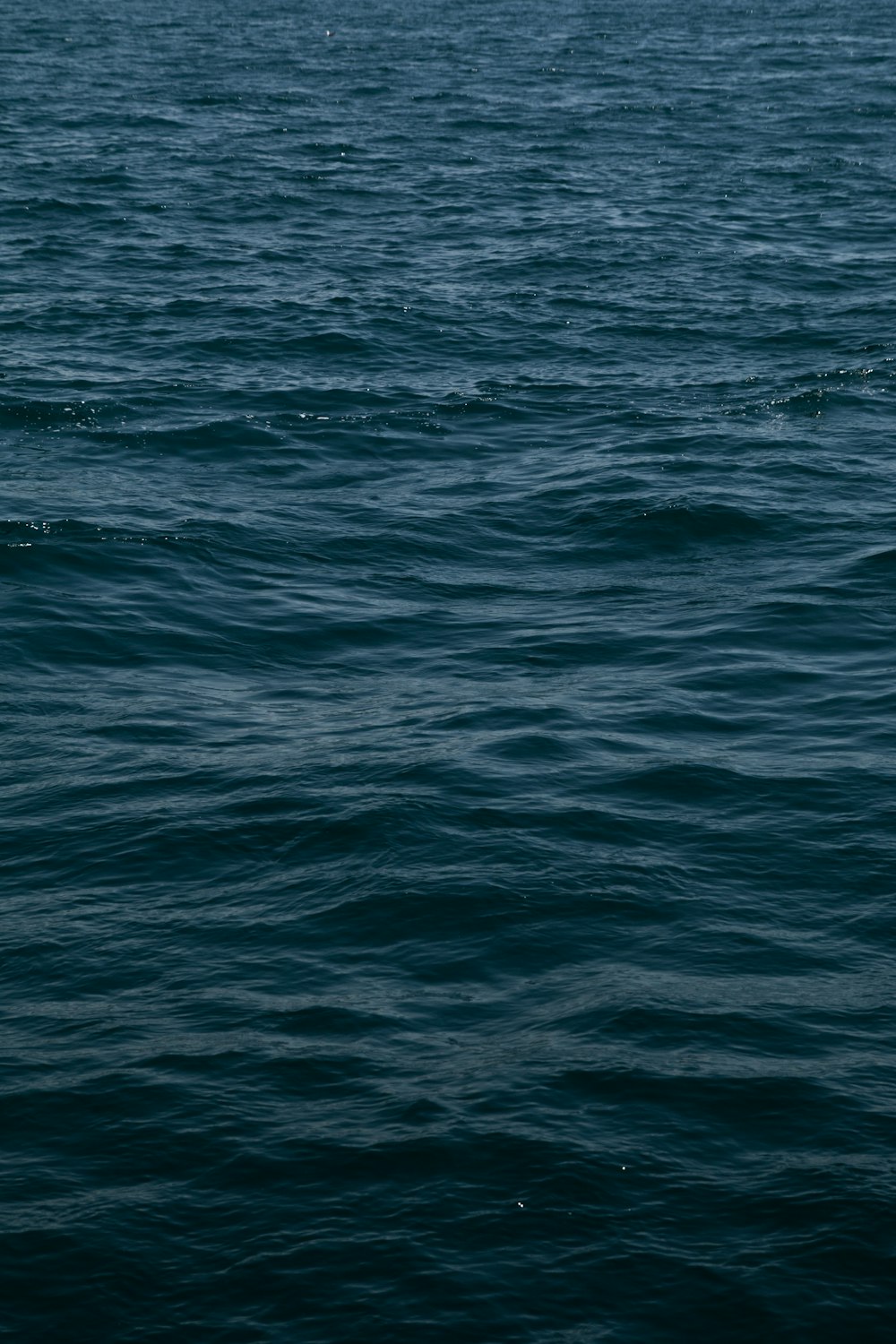 blue calm body of water