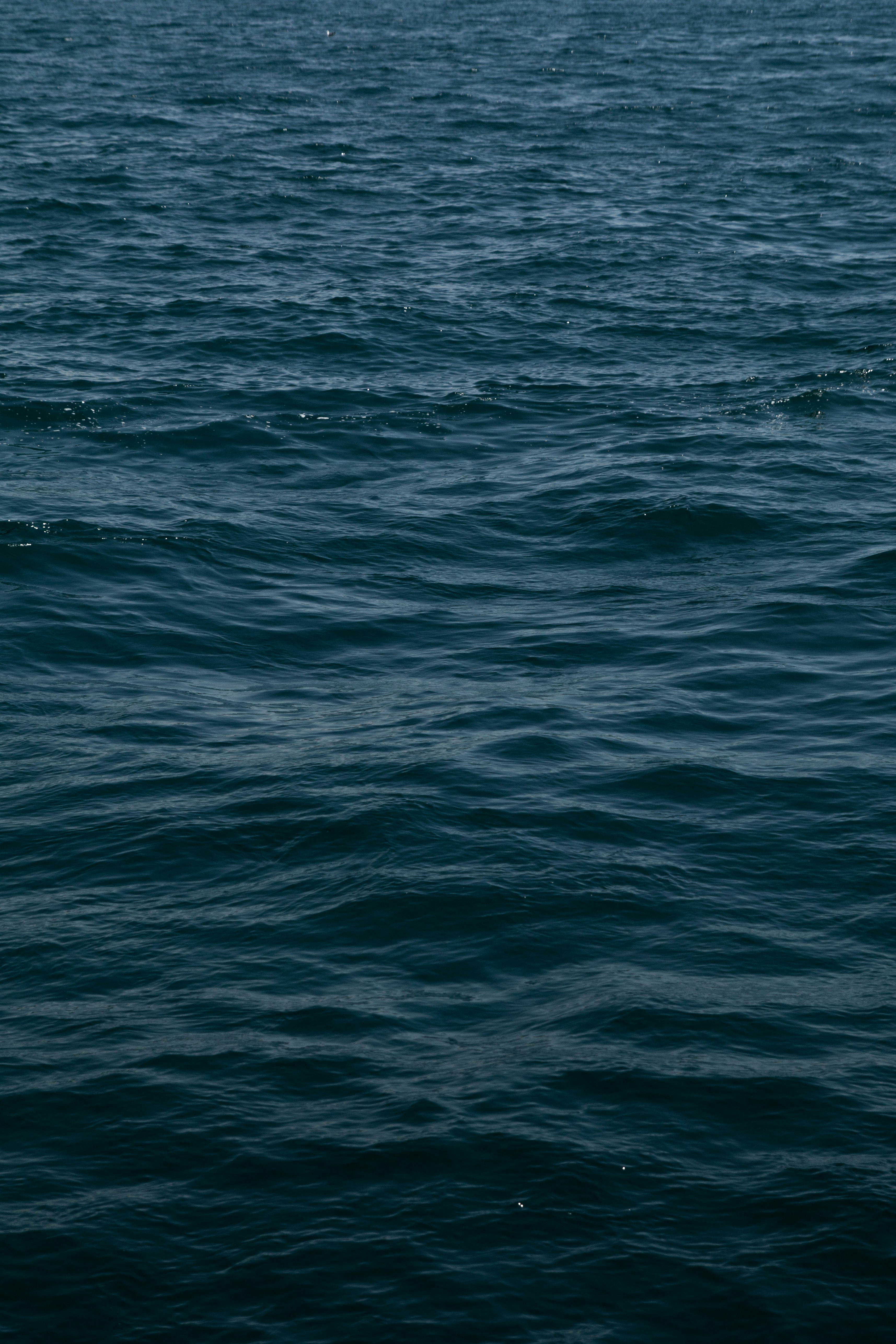 blue calm body of water