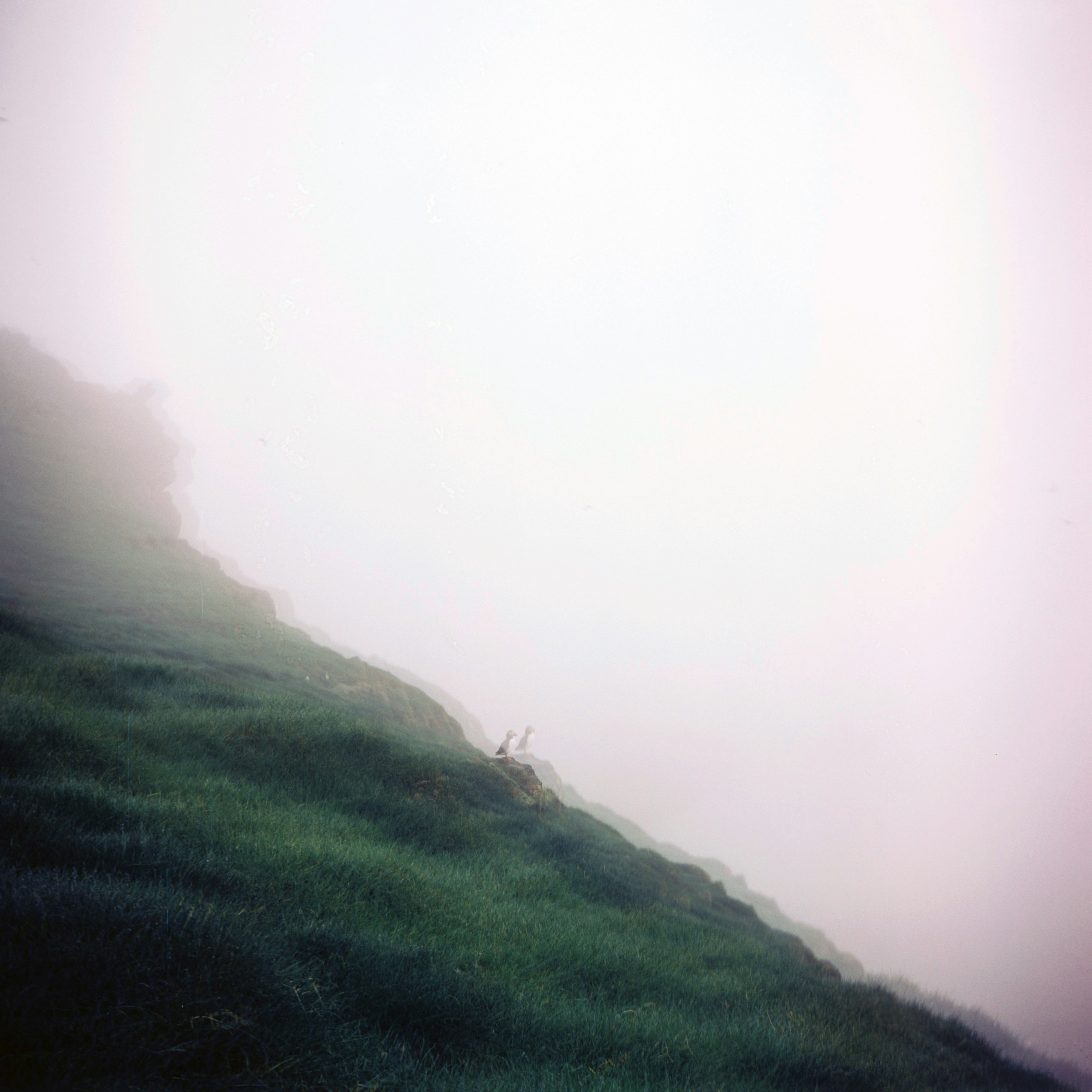 Photo by anniespratt