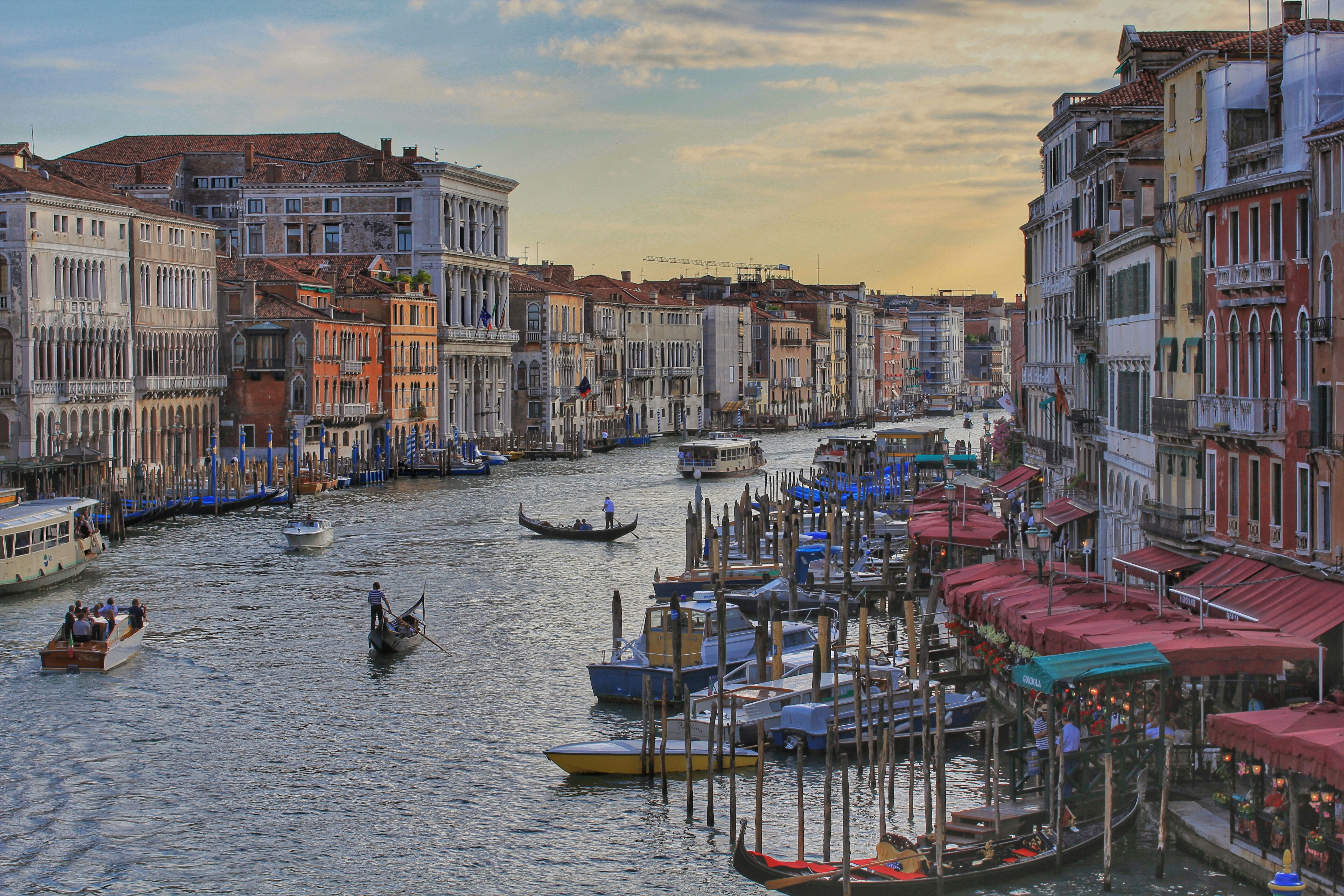 Photo by freshmoondog