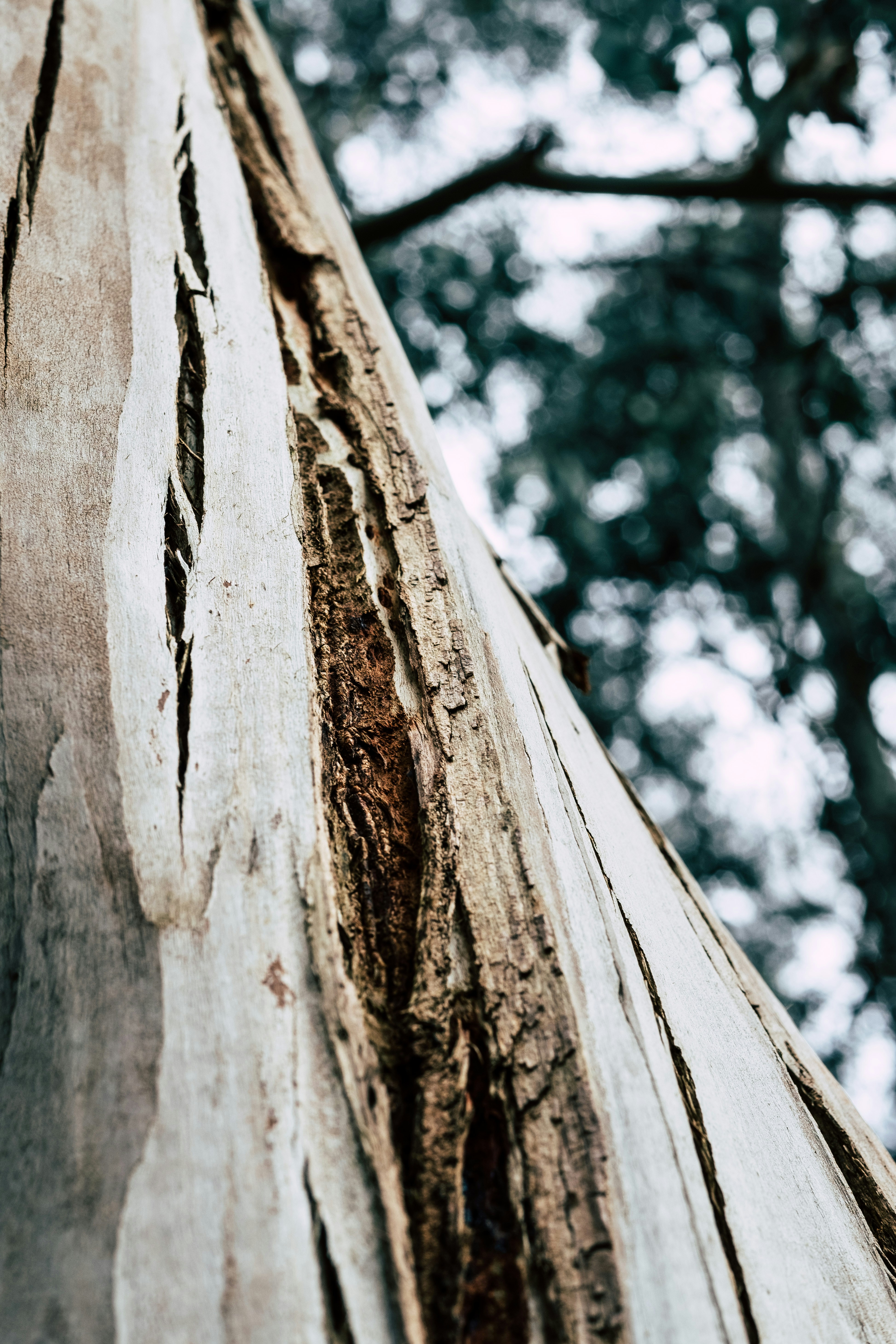 Photo by photographybyharry