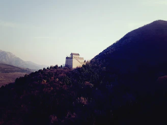 A vibrant portrait of a cloaked ranger standing atop a craggy hill, eyes fixed on a distant castle under a twilight sky.