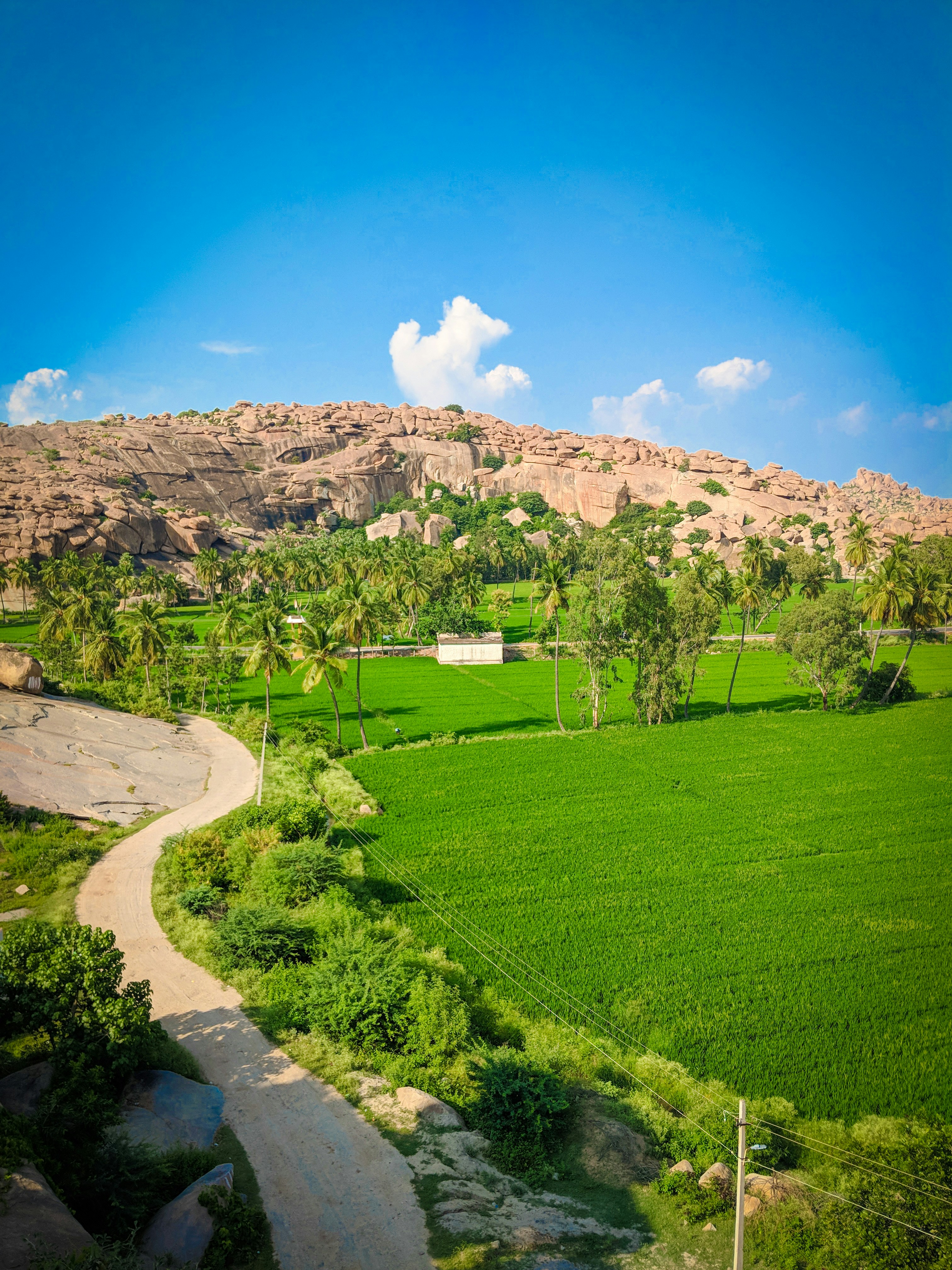 Photo by sagarclickon