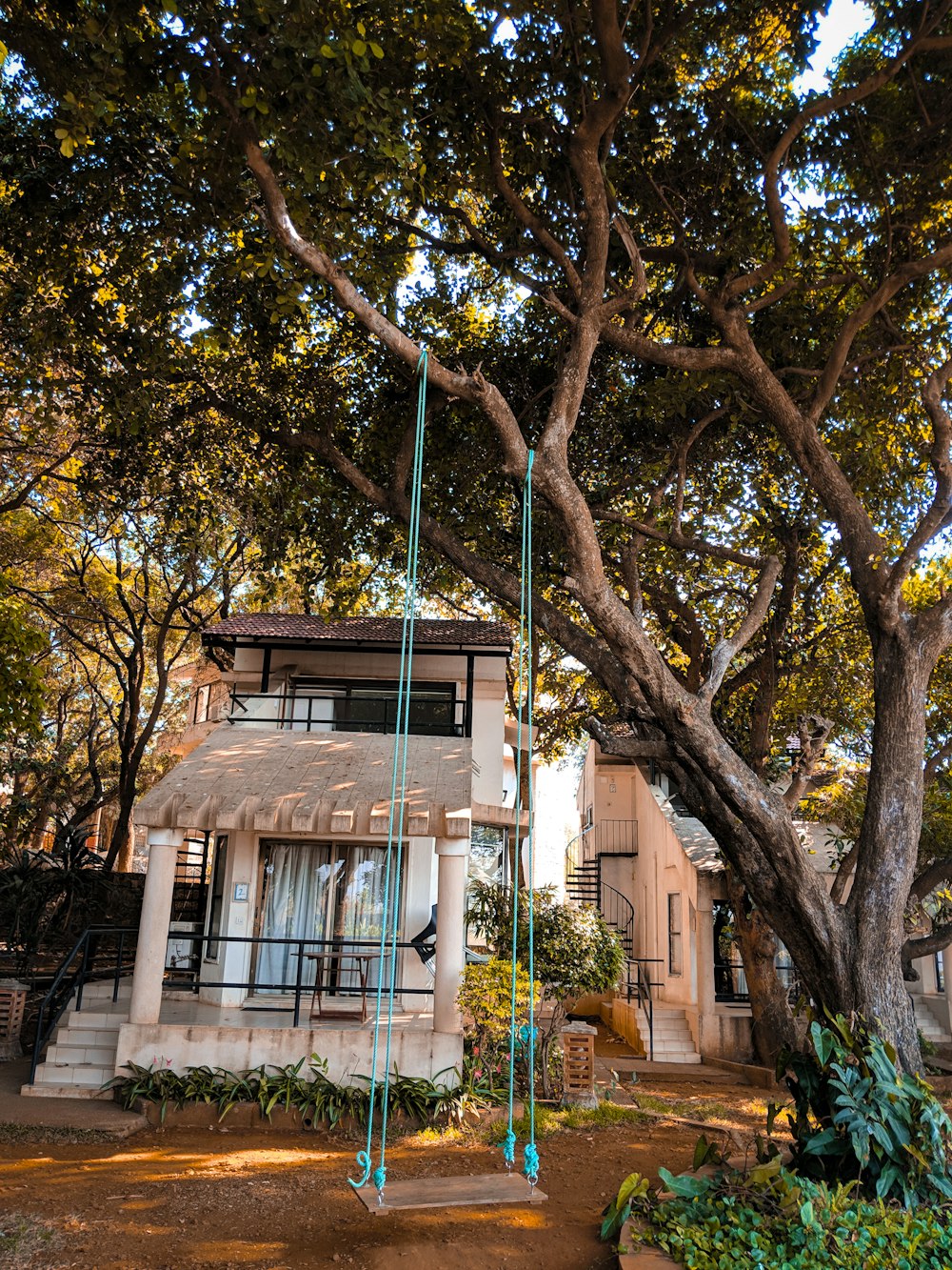 teal and brown swing tied on tree