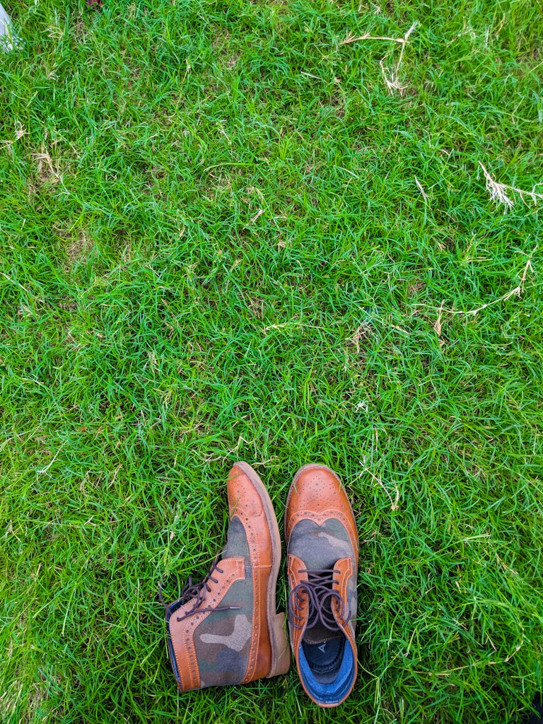 Everyday Comfort Shoes