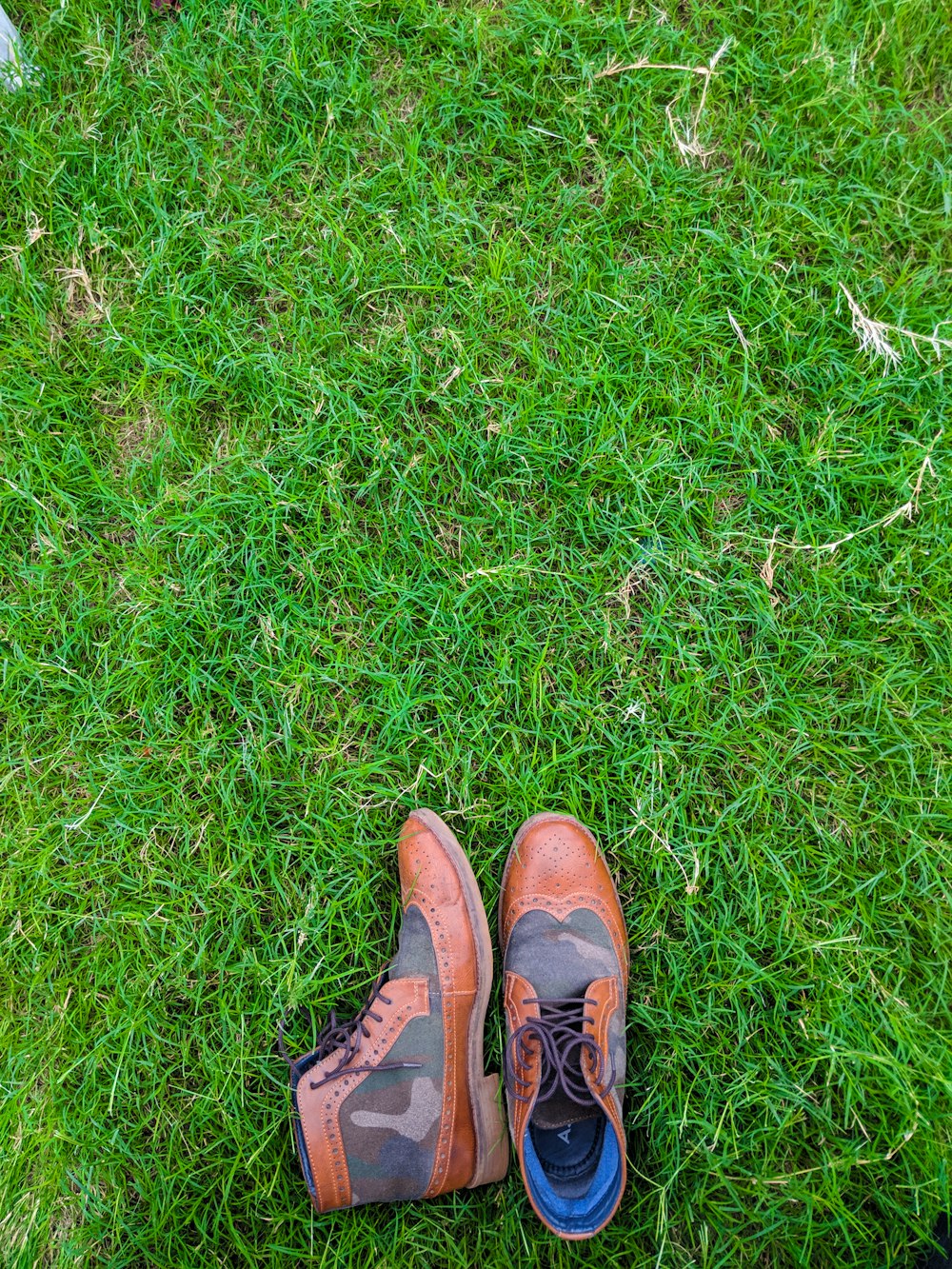 pair of brown-and-gray camouflage leather wing-tip boots on grass