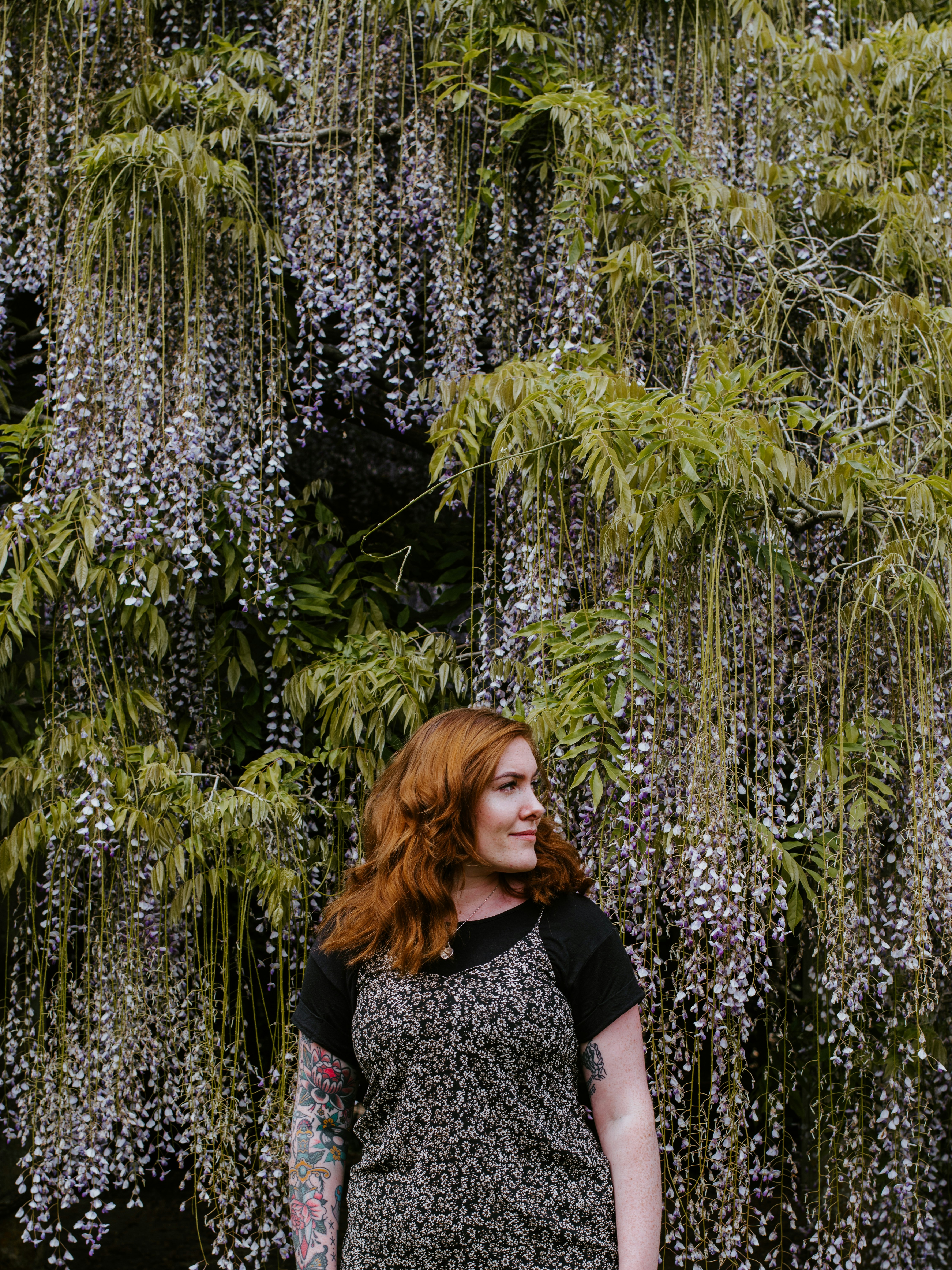 Photo by anniespratt