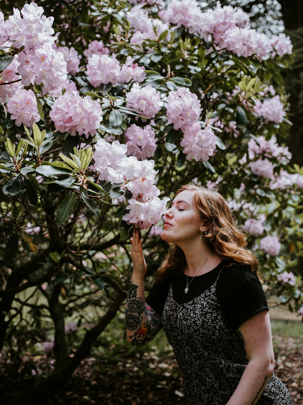woman sniffing white and pink blooming flowers