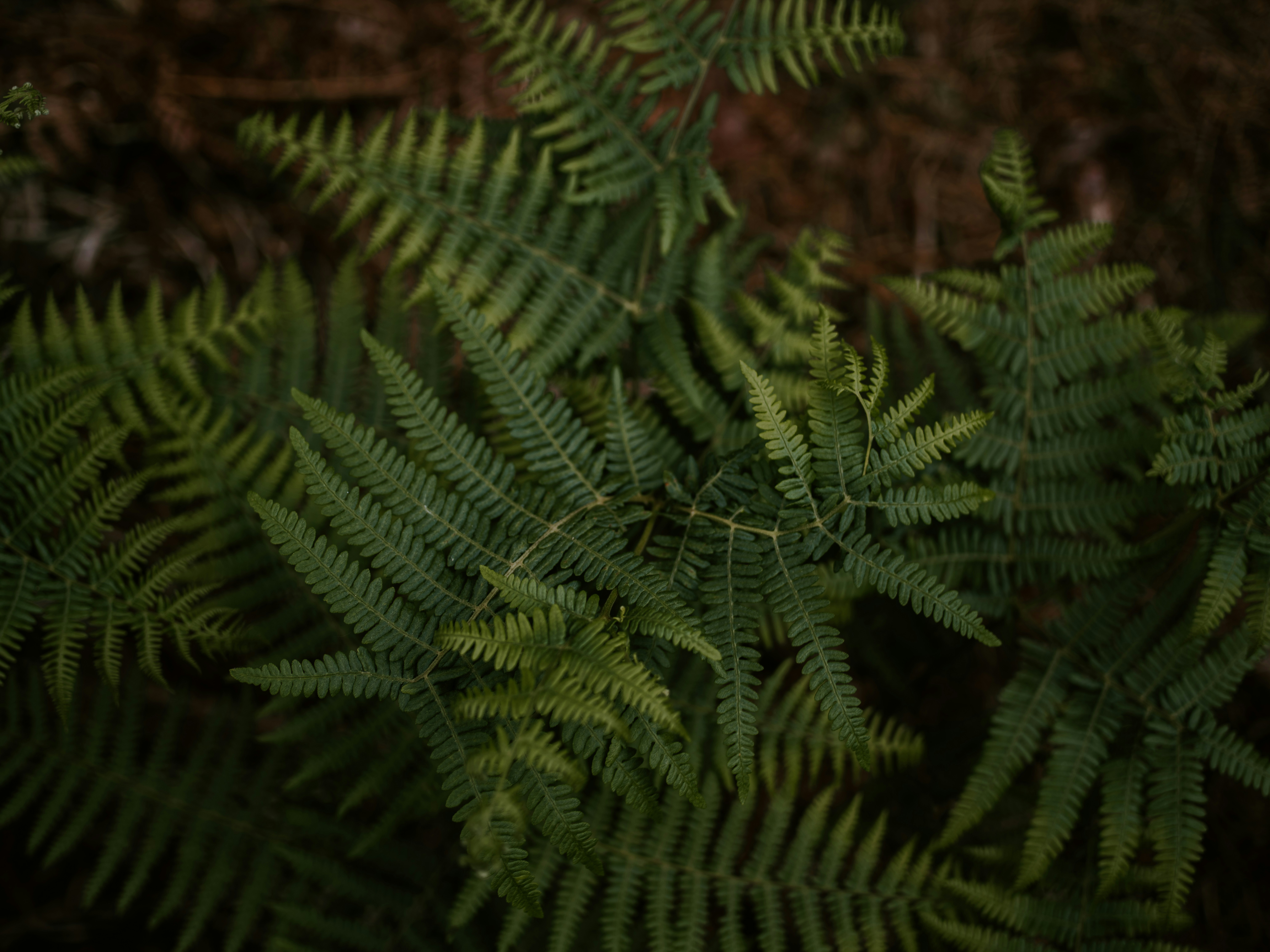 Photo by anniespratt