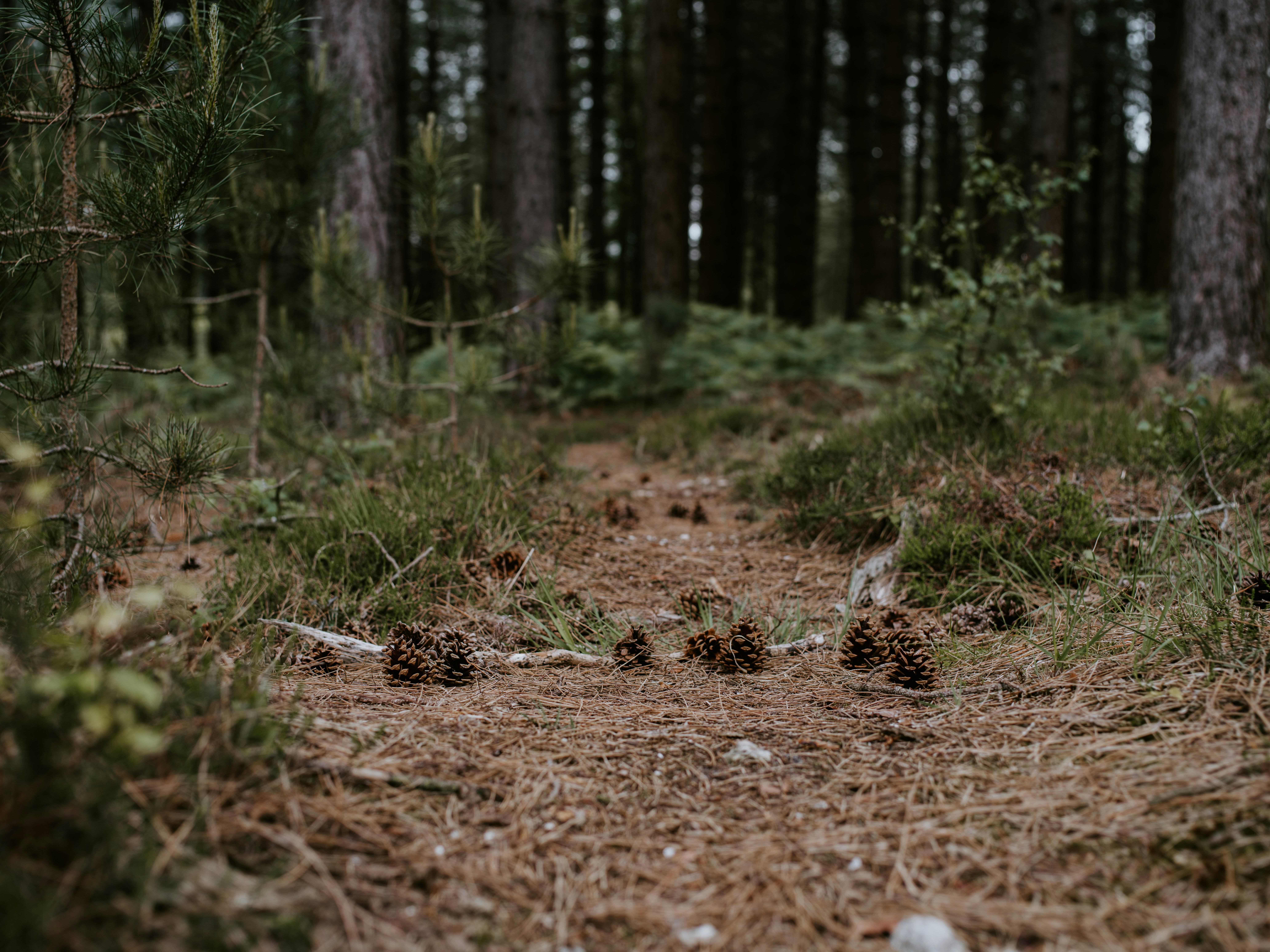 Photo by anniespratt