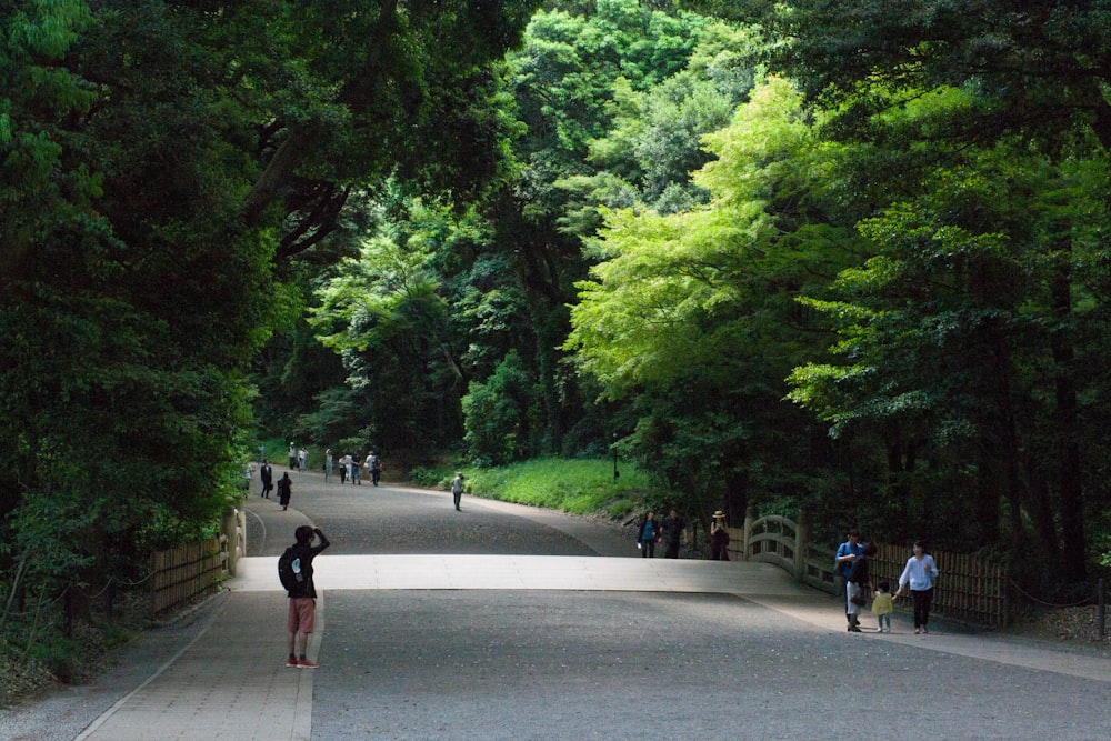 people walking at sidewalk by tree during daytime