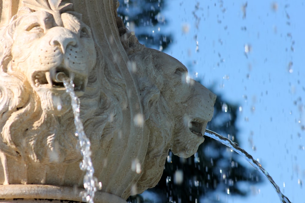 white concrete lion water fountain in time-lapse photography